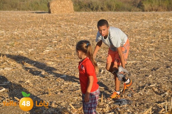 7amam lud monir 908 (52).JPG